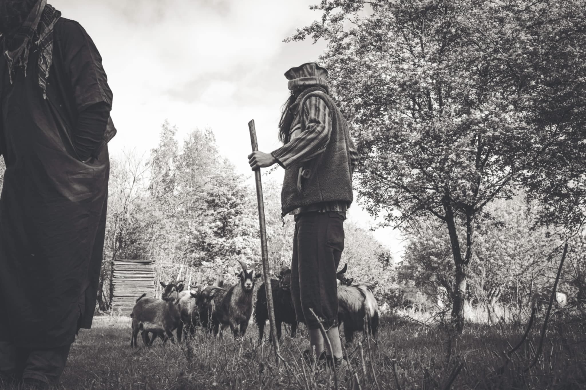 Extraction